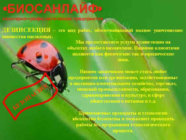  «БИОСАНЛАЙФ» санитарно-профилактическое предприятие ДЕЗИНСЕКЦИЯ – это вид работ, обеспечивающий полное уничтожение множества насекомых.