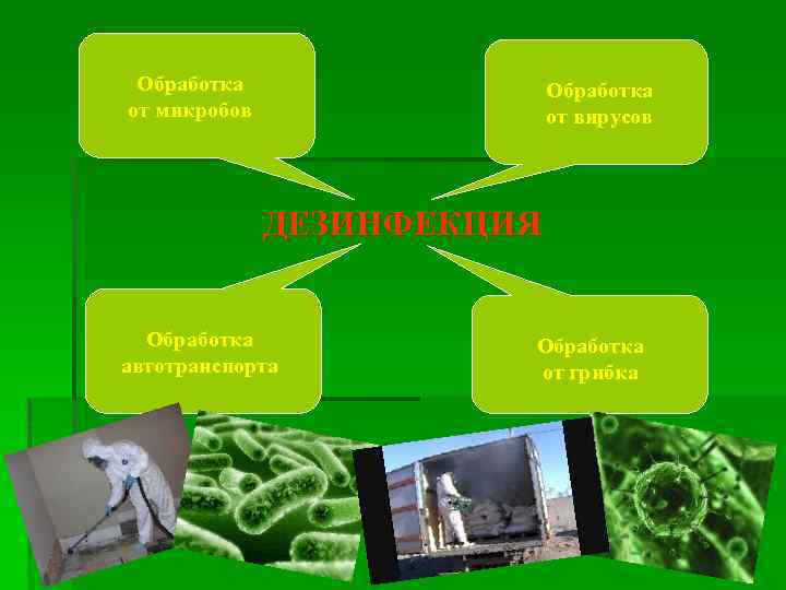 Обработка от микробов Обработка от вирусов ДЕЗИНФЕКЦИЯ Обработка автотранспорта Обработка от грибка 