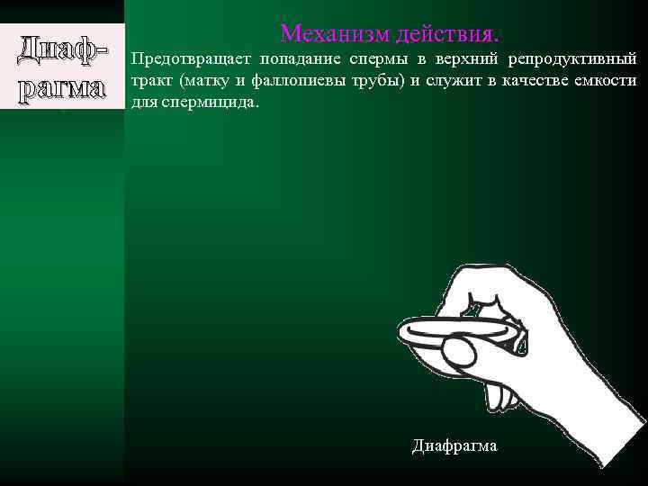 Диафрагма Механизм действия. Предотвращает попадание спермы в верхний репродуктивный тракт (матку и фаллопиевы трубы)