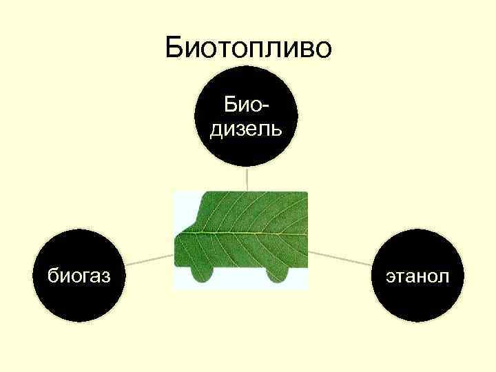 Биотопливо Биодизель биогаз этанол 