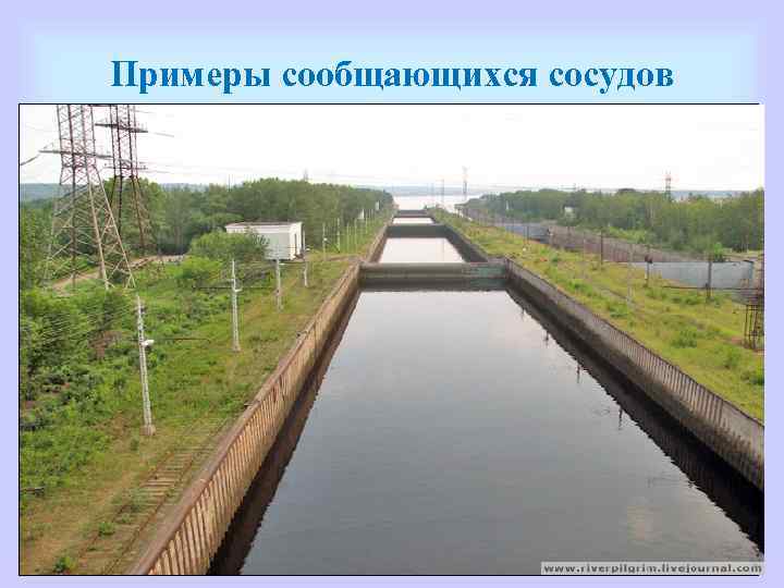 Примеры сообщающихся сосудов 