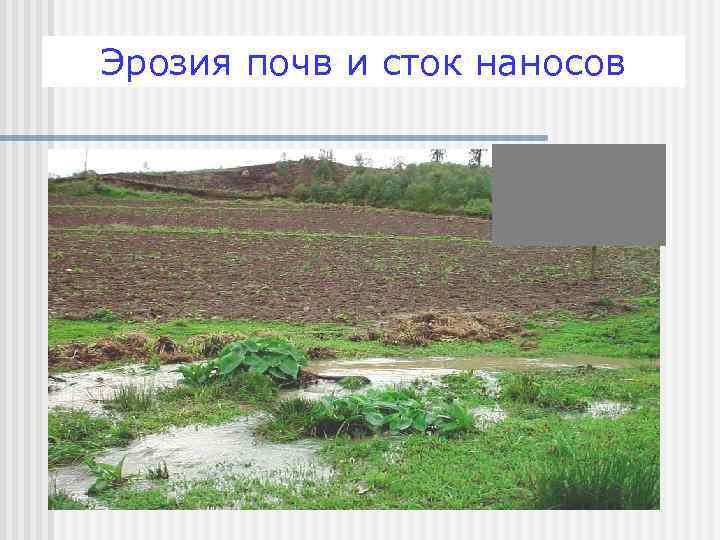 Эрозия почв и сток наносов 