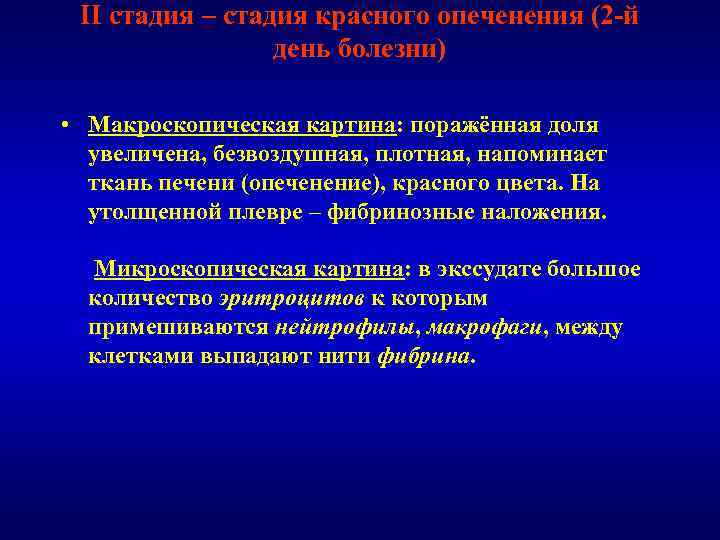 II стадия – стадия красного опеченения (2 -й день болезни) • Макроскопическая картина: поражённая