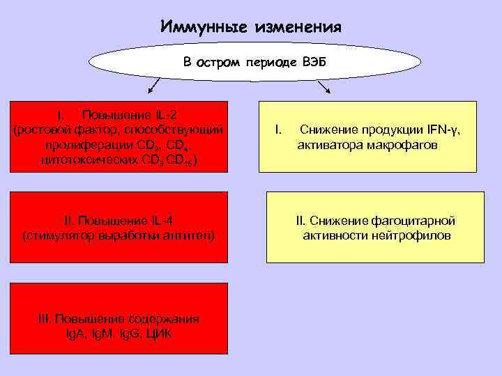 Иммунные изменения В остром периоде ВЭБ I. Повышение IL-2 (ростовой фактор, способствующий пролиферации CD
