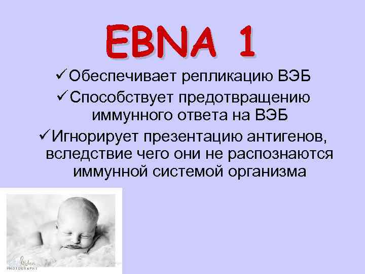 EBNA 1 ü Обеспечивает репликацию ВЭБ ü Способствует предотвращению иммунного ответа на ВЭБ ü