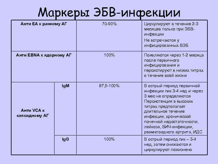 Маркеры ЭБВ-инфекции Анти EA к раннему АГ 70 -90% Анти EBNA к ядерному АГ