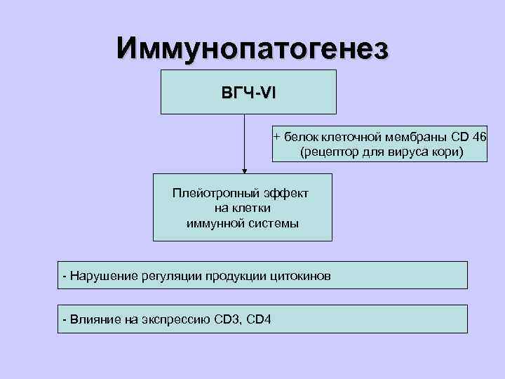 Иммунопатогенез ВГЧ-VI + белок клеточной мембраны CD 46 (рецептор для вируса кори) Плейотропный эффект