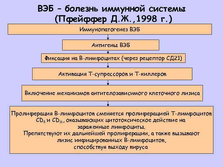 ВЭБ – болезнь иммунной системы (Пфейффер Д. Ж. , 1998 г. ) Иммунопатогенез ВЭБ