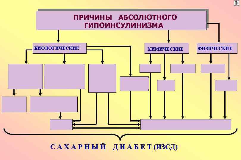 ПРИЧИНЫ АБСОЛЮТНОГО ГИПОИНСУЛИНИЗМА БИОЛОГИЧЕСКИЕ ХИМИЧЕСКИЕ С А Х А Р Н Ы Й Д