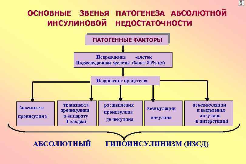 ОСНОВНЫЕ ЗВЕНЬЯ ПАТОГЕНЕЗА АБСОЛЮТНОЙ ИНСУЛИНОВОЙ НЕДОСТАТОЧНОСТИ ПАТОГЕННЫЕ ФАКТОРЫ Повреждение -клеток Поджелудочной железы (более 80%