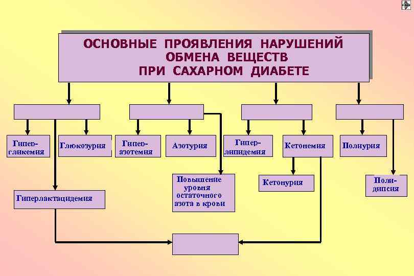 ОСНОВНЫЕ ПРОЯВЛЕНИЯ НАРУШЕНИЙ ОБМЕНА ВЕЩЕСТВ ПРИ САХАРНОМ ДИАБЕТЕ Гипергликемия Глюкозурия Гиперлактацидемия Гиперазотемия Азотурия Гиперлипидемия