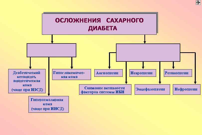 ОСЛОЖНЕНИЯ САХАРНОГО ДИАБЕТА Деабетический кетацидоз, ацидотическая кома (чаще при ИЗСД) Гипогликемическая кома Гиперосмолярная кома