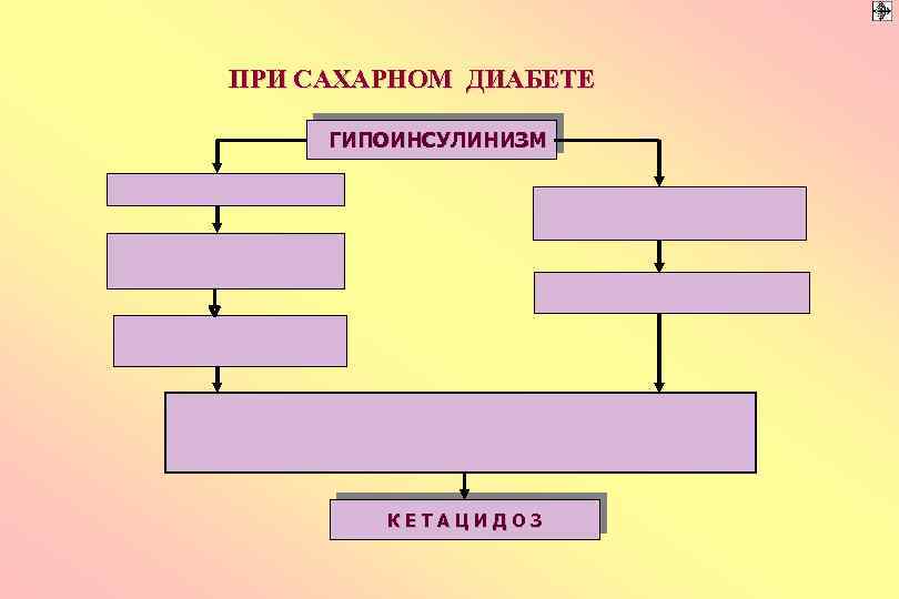 ПРИ САХАРНОМ ДИАБЕТЕ ГИПОИНСУЛИНИЗМ КЕТАЦИДОЗ 