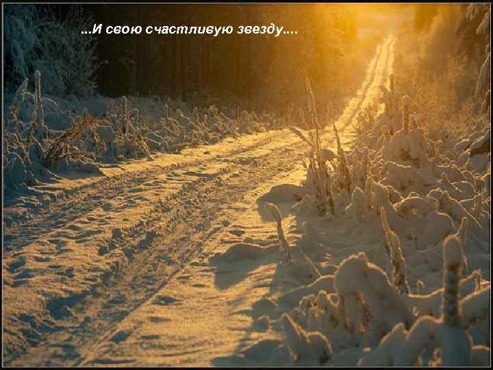 . . . И свою счастливую звезду. . 