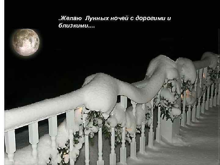 ……. . . Желаю Лунных ночей с дорогими и близкими. . 