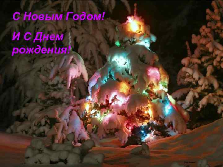 С Новым Годом! И С Днем рождения! 