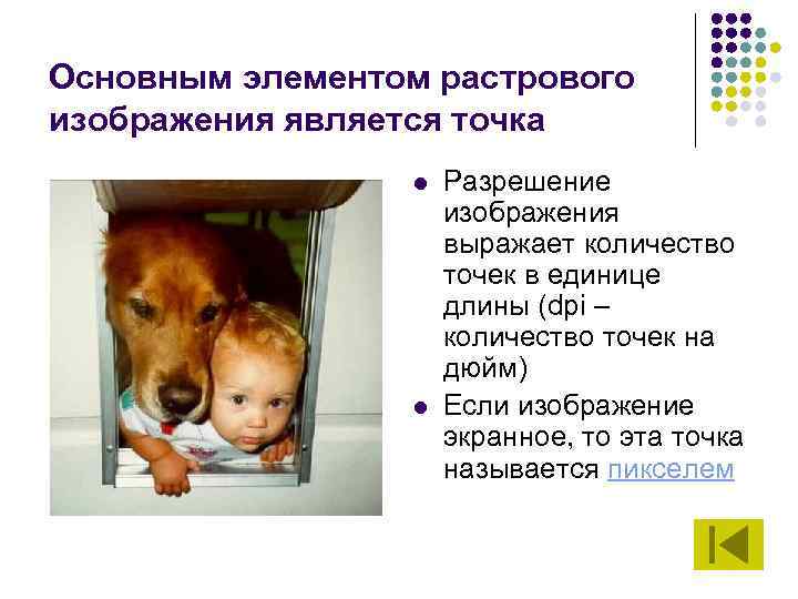 Основным элементом растрового изображения является точка l l Разрешение изображения выражает количество точек в