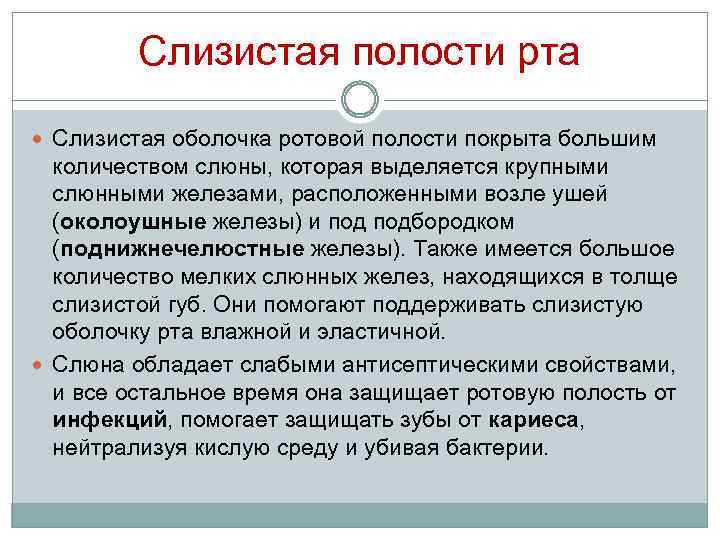 Слизистая полости рта Слизистая оболочка ротовой полости покрыта большим количеством слюны, которая выделяется крупными