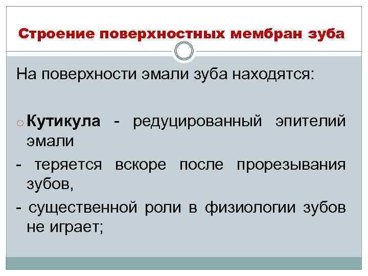 Строение поверхностных мембран зуба На поверхности эмали зуба находятся: o Кутикула - редуцированный эпителий