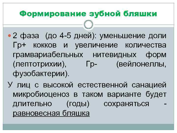 Формирование зубной бляшки 2 фаза (до 4 -5 дней): уменьшение доли Гр+ кокков и