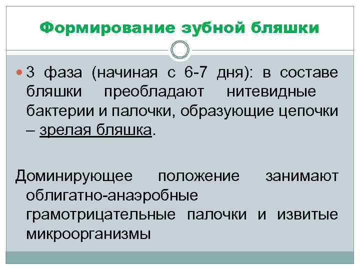 Формирование зубной бляшки 3 фаза (начиная с 6 -7 дня): в составе бляшки преобладают