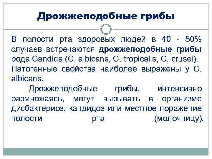 Дрожжеподобные грибы В полости рта здоровых людей в 40 - 50% случаев встречаются дрожжеподобные