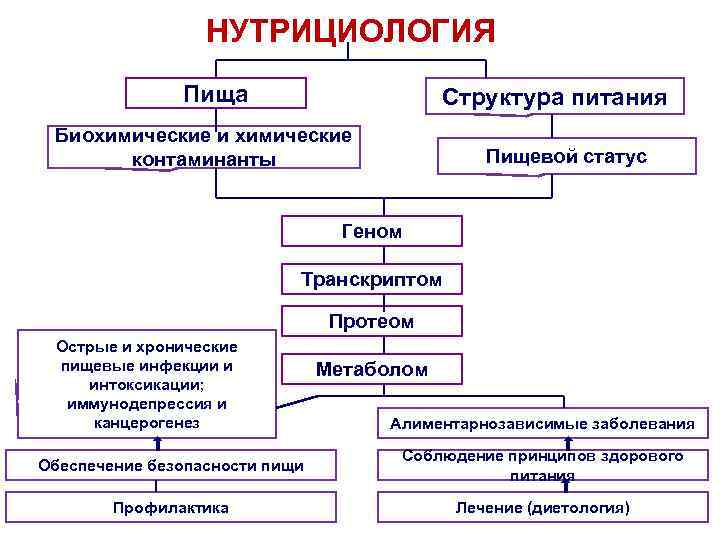 Структура питания