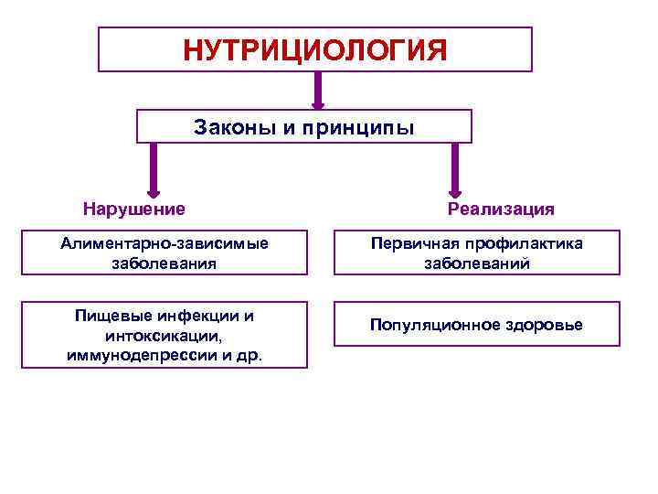 Принципы нутрициологии. Принципы нутрициологии в питании. Профилактика алиментарно-зависимых заболеваний. Алиментарно-зависимые заболевания это.