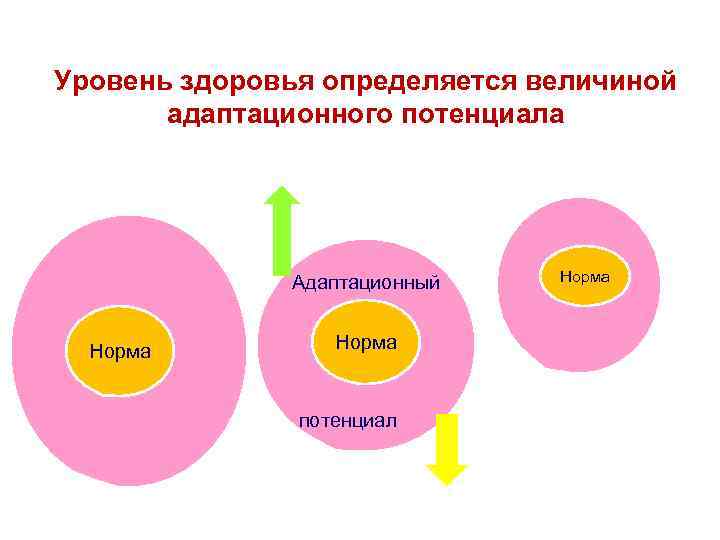 Уровень здоровья определяется величиной адаптационного потенциала Адаптационный Норма потенциал Норма 