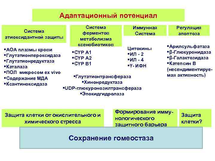 Функция каталазы в живых клетках