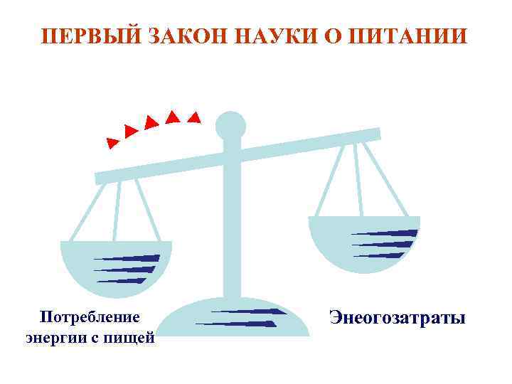 Закон о науке. Энергетическая адекватность питания. Закон энергетической питания. Закон энергетической адекватности питания. Первый закон науки о питании.