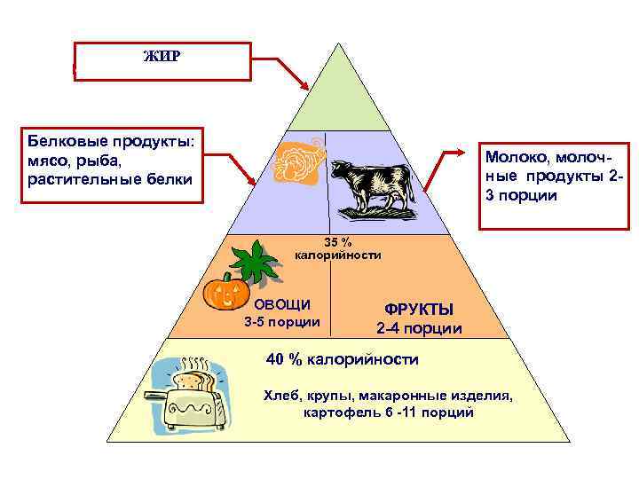 ЖИР Белковые продукты: мясо, рыба, растительные белки Молоко, молочные продукты 23 порции 35 %