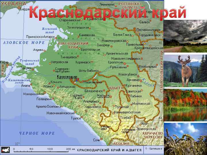 Краснодарский край республика адыгея физическая карта