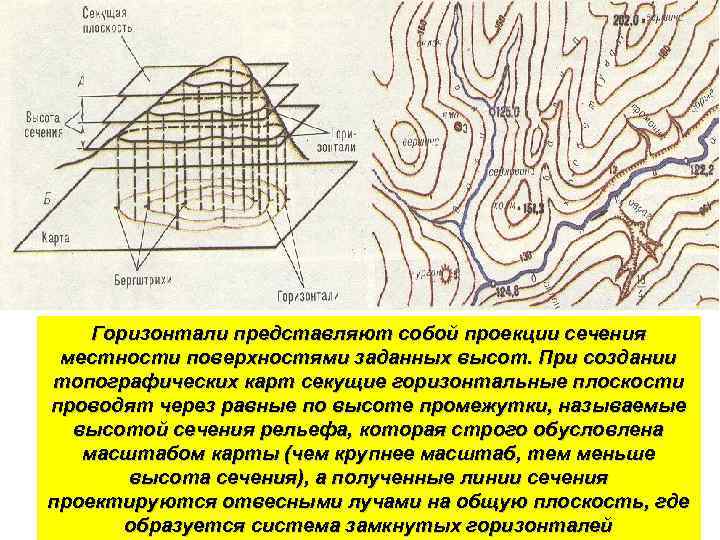 Изображение на плоскости вертикального сечения поверхности местности в заданном направлении