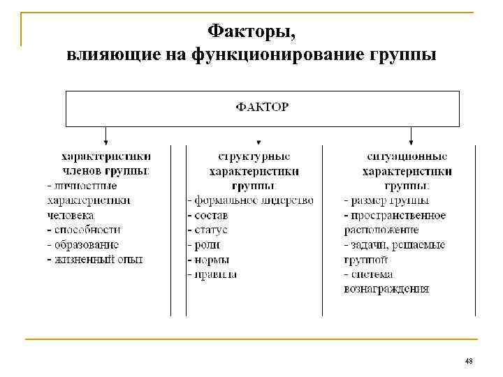 Факторы, влияющие на функционирование группы 48 