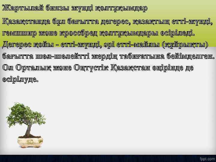 Жартылай биязы жүнді қолтұқымдар Қазақстанда бұл бағытта дегерес, қазақтың етті-жүнді, гемпшир және кроссбред қолтұқымдары