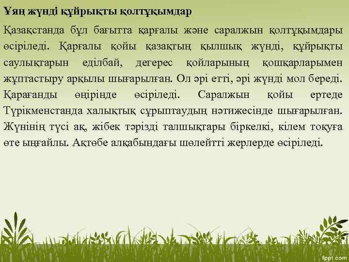 Ұяң жүнді құйрықты қолтұқымдар Қазақстанда бұл бағытта қарғалы және саралжын қолтұқымдары өсіріледі. Қарғалы қойы