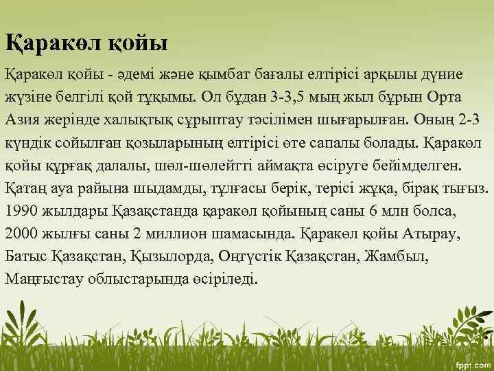 Қаракөл қойы - әдемі және қымбат бағалы елтірісі арқылы дүние жүзіне белгілі қой тұқымы.