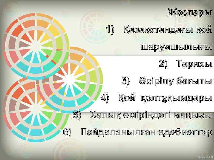 Жоспары 1) Қазақстандағы қой шаруашылығы 2) Тарихы 3) Өсірілу бағыты 4) Қой қолтұқымдары 5)