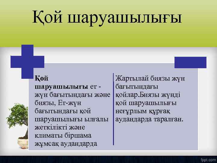 Қой шаруашылығы ет - жүн бағытындағы және биязы, Ет-жүн бағытындағы қой шаруашылығы ылғалы жеткілікті