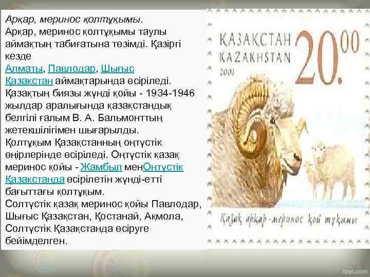 Арқар, меринос қолтұқымы таулы аймақтың табиғатына төзімді. Қазіргі кезде Алматы, Павлодар, Шығыс Қазақстан аймақтарында