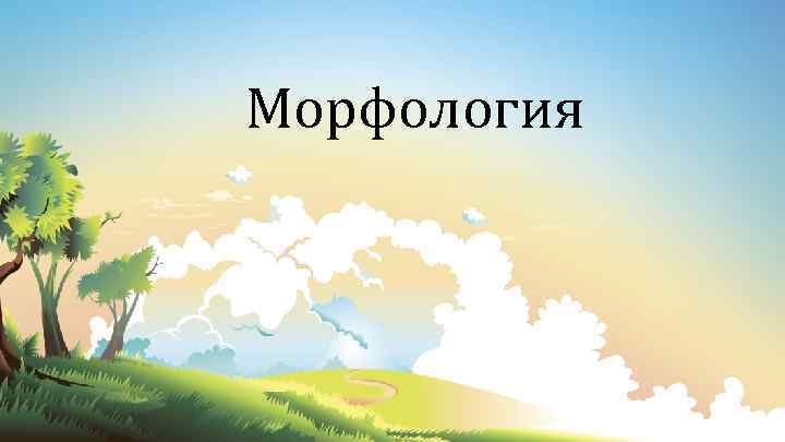 Морфология 