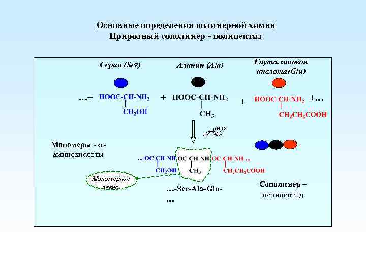 Основные определения полимерной химии Природный сополимер - полипептид Серин (Ser) …+ Глутаминовая кислота(Glu) Аланин
