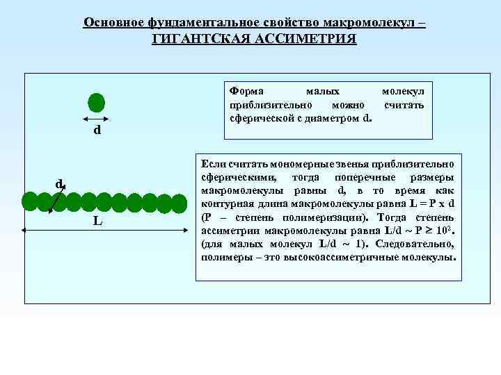 Основное фундаментальное свойство макромолекул – ГИГАНТСКАЯ АССИМЕТРИЯ d d L Форма малых молекул приблизительно