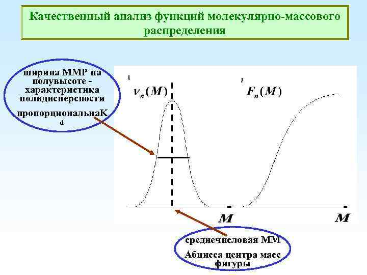 Качественный анализ функций молекулярно-массового распределения ширина ММР на полувысоте характеристика полидисперсности пропорциональна. K d