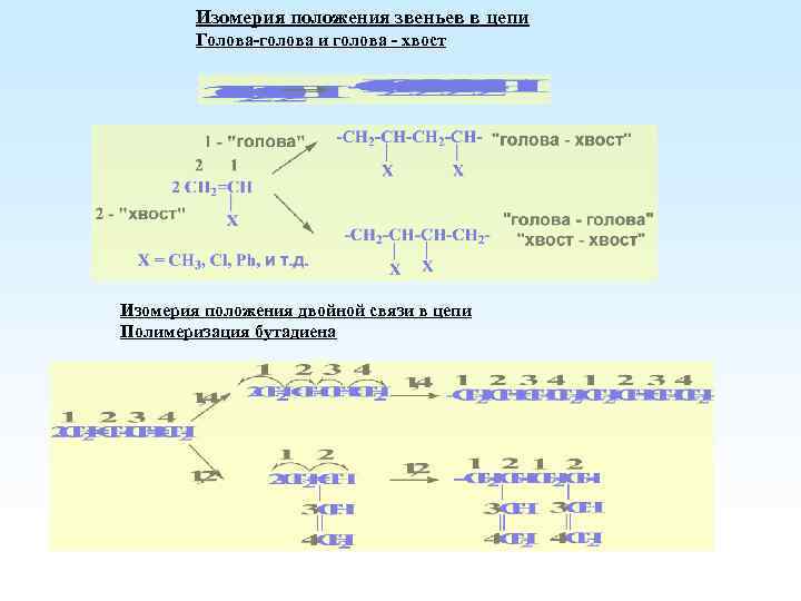 Изомерия положения звеньев в цепи Голова-голова и голова - хвост Изомерия положения двойной связи