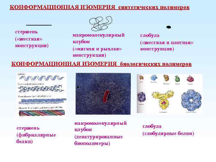 КОНФОРМАЦИОННАЯ ИЗОМЕРИЯ синтетических полимеров стержень ( «жесткая» конструкция) макромолекулярный клубок ( «мягкая и рыхлая»