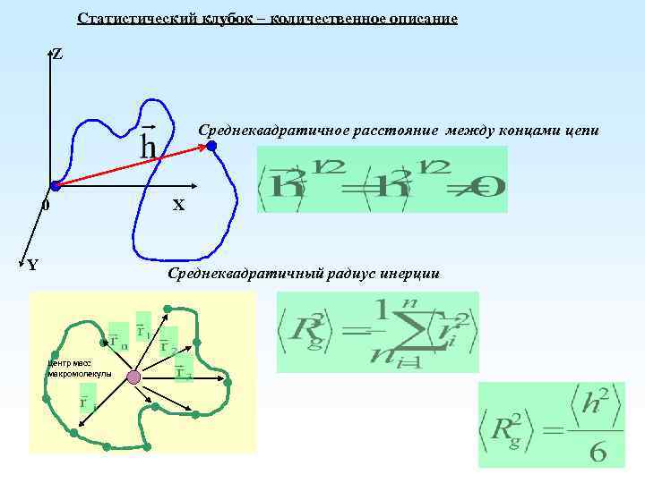 Статистический клубок – количественное описание Z Среднеквадратичное расстояние между концами цепи 0 Y Х