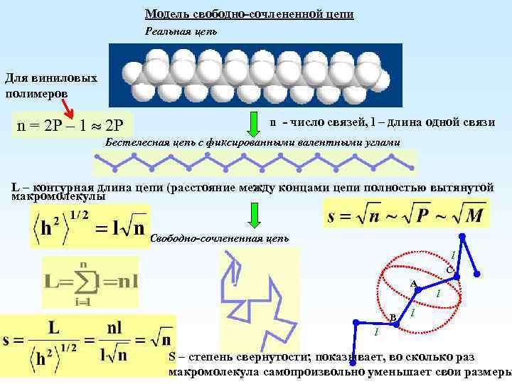Модель свободно-сочлененной цепи Реальная цепь Для виниловых полимеров n = 2 P – 1