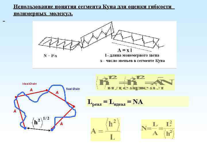 Использование понятия сегмента Куна для оценки гибкости полимерных молекул. = Ideal Chain A Real